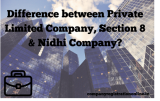 Private limited, Section 8 & Nidhi Company