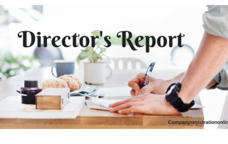 Director's report